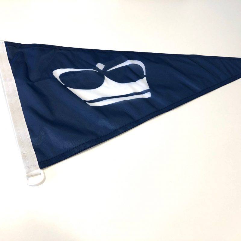 Princess pennant flag